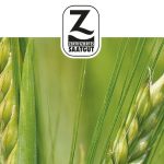 Z-Saatgut