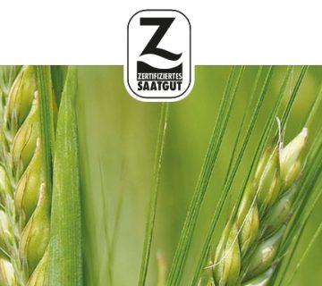Z-Saatgut