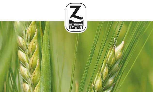 Z-Saatgut