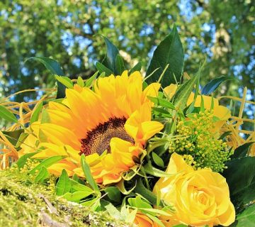 blume