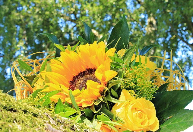 blume