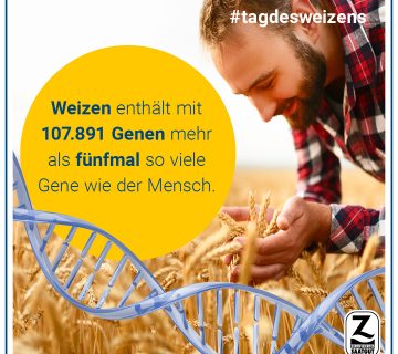 Tag des Weizens