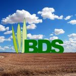 BDS Logo