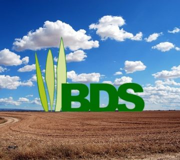 BDS Logo