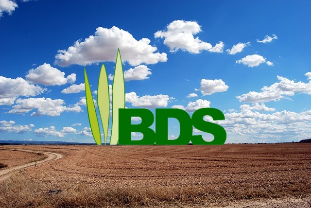 BDS Logo