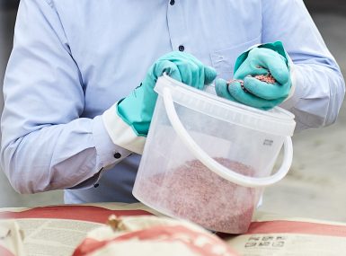 Kontrolle_gebeiztes-Saatgut Kontrolle_gebeiztes-Saatgut